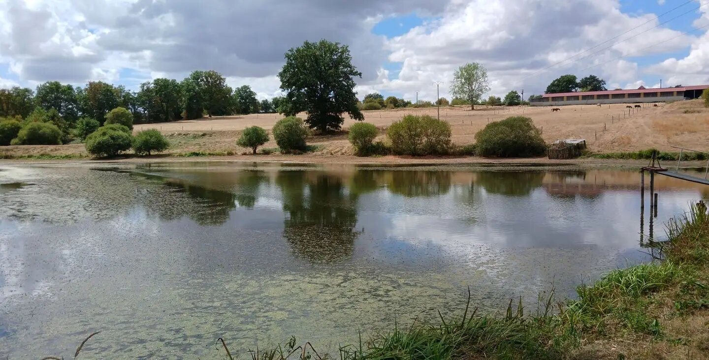 Maison à vendre, 106m², Franchesse
