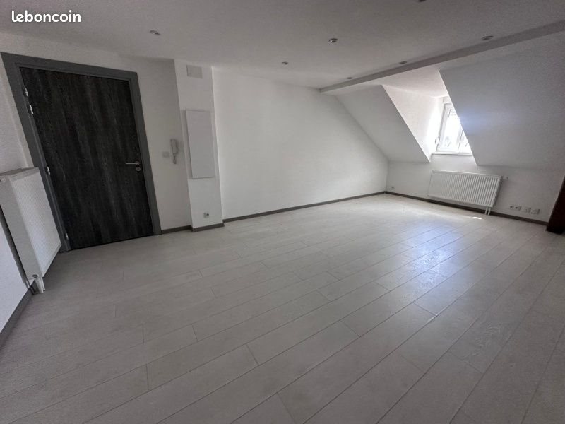 Appartement à louer, 56m², Mulhouse