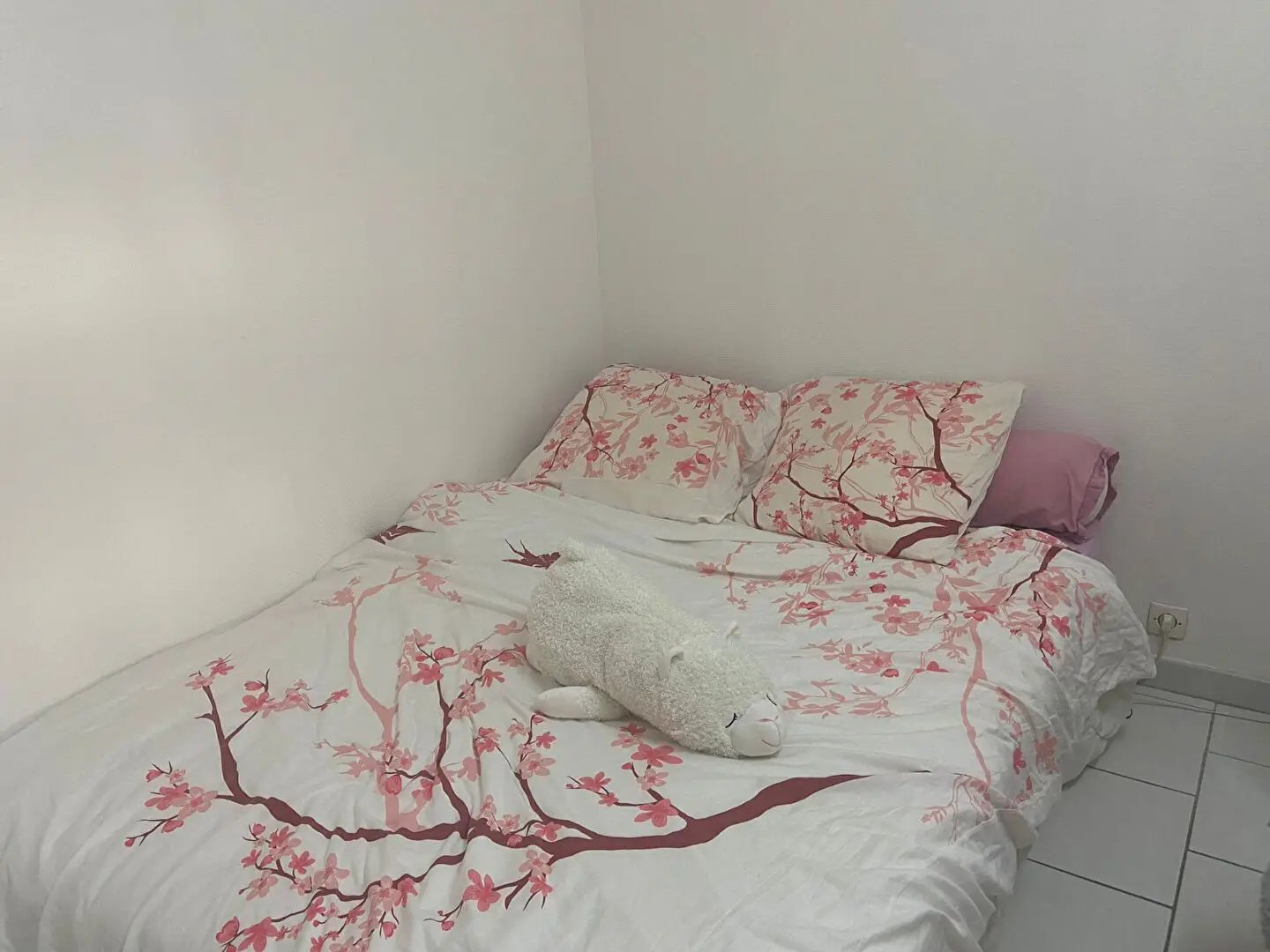 Appartement à louer, 27m², Orléans