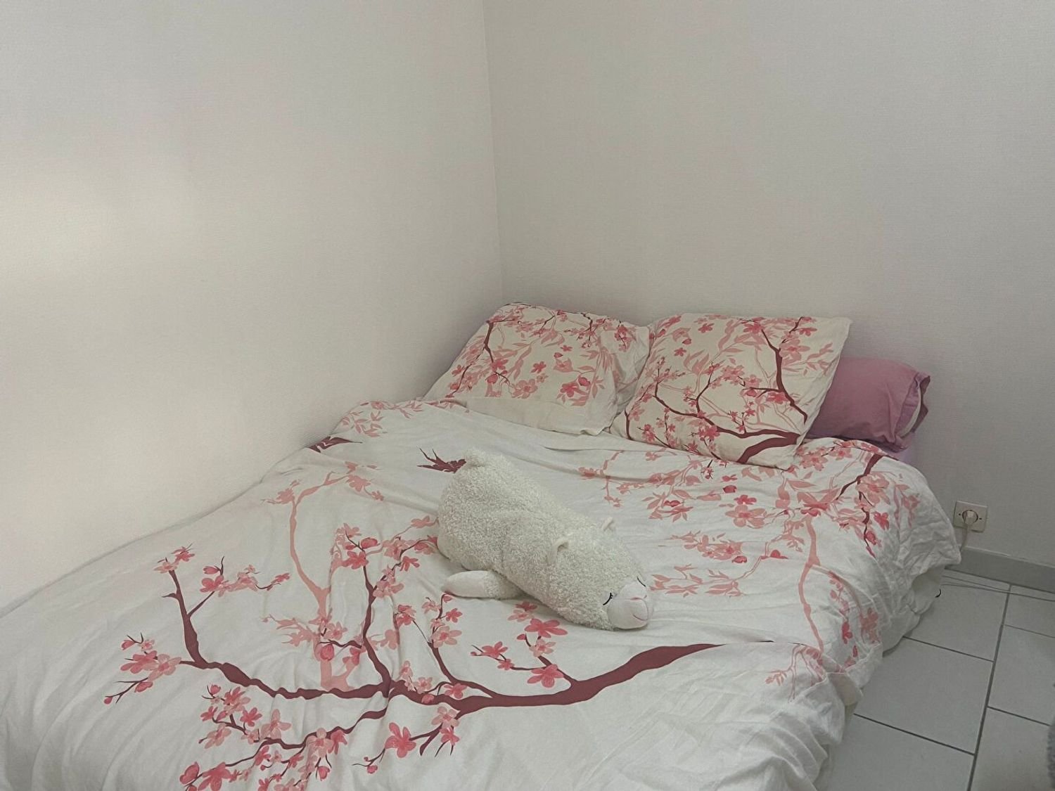 Appartement à louer, 27m², Orléans