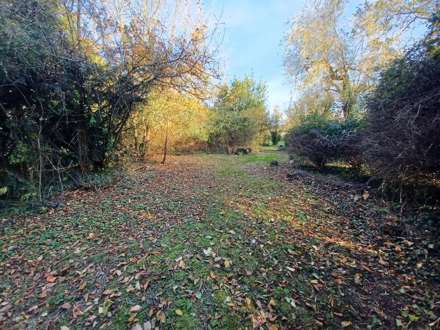 Maison à vendre, 123m², Jussy-le-Chaudrier