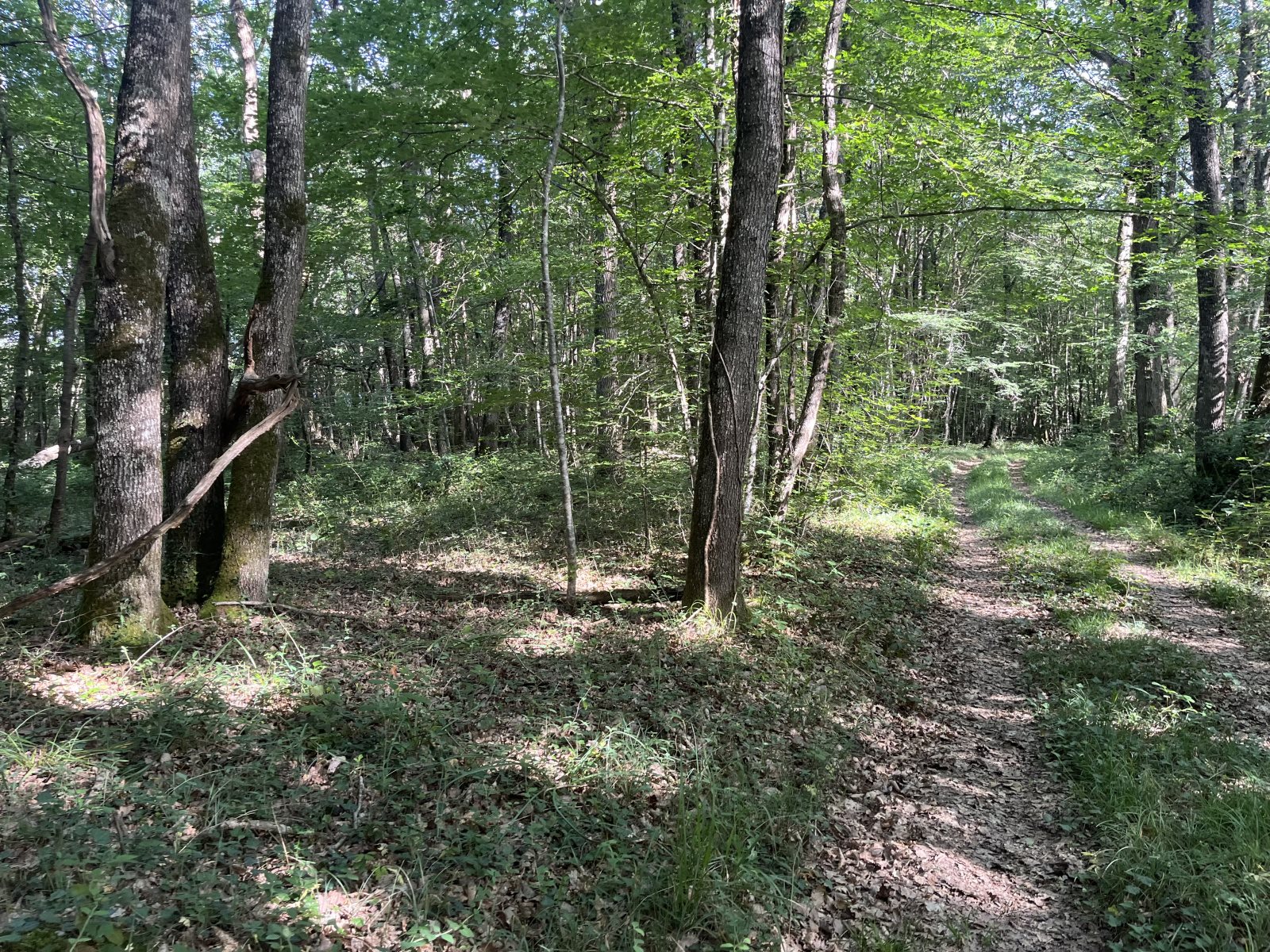 Maison à vendre, 2m², Chezal-Benoît