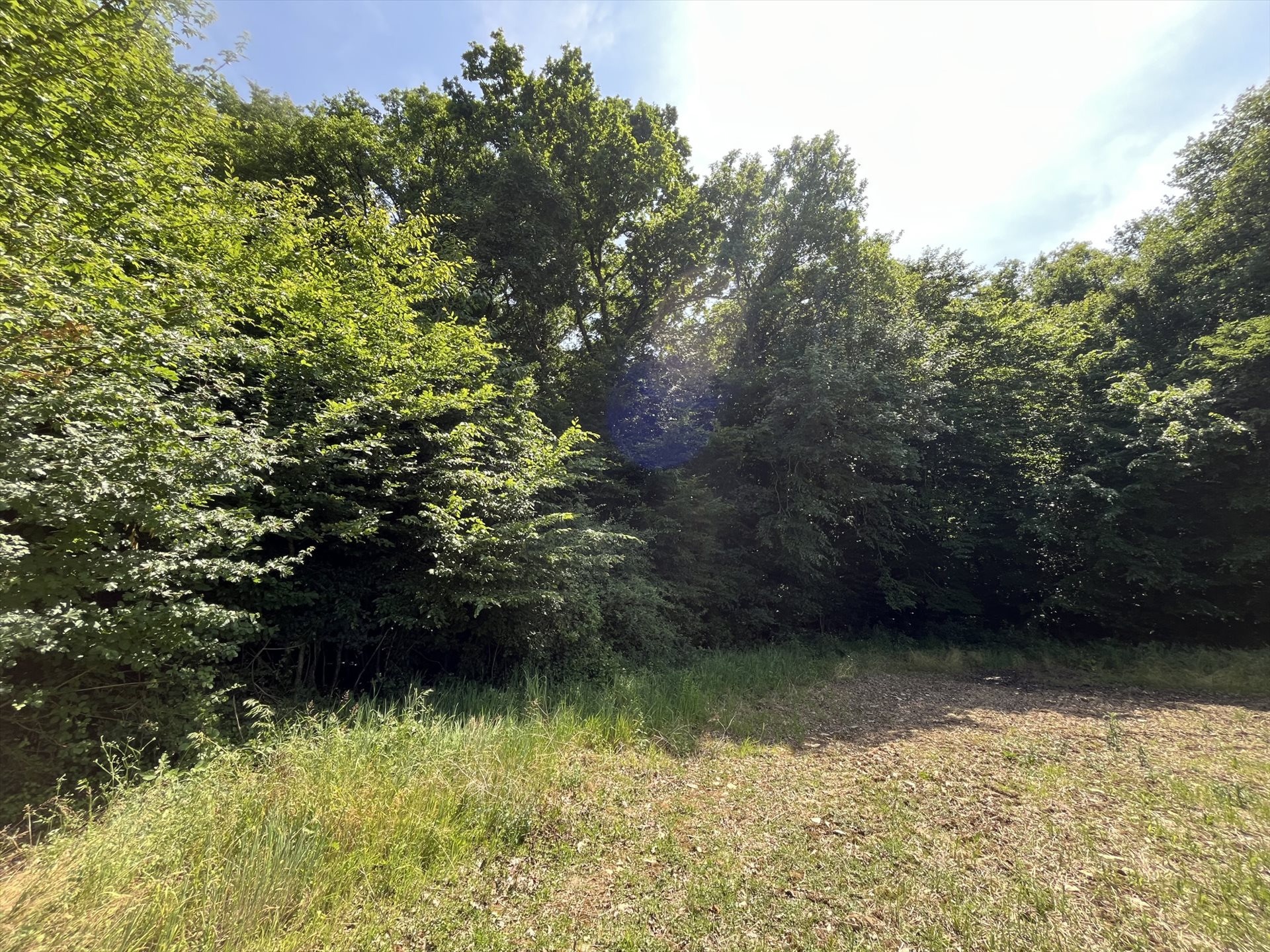Maison à vendre, 8900m², Ségry