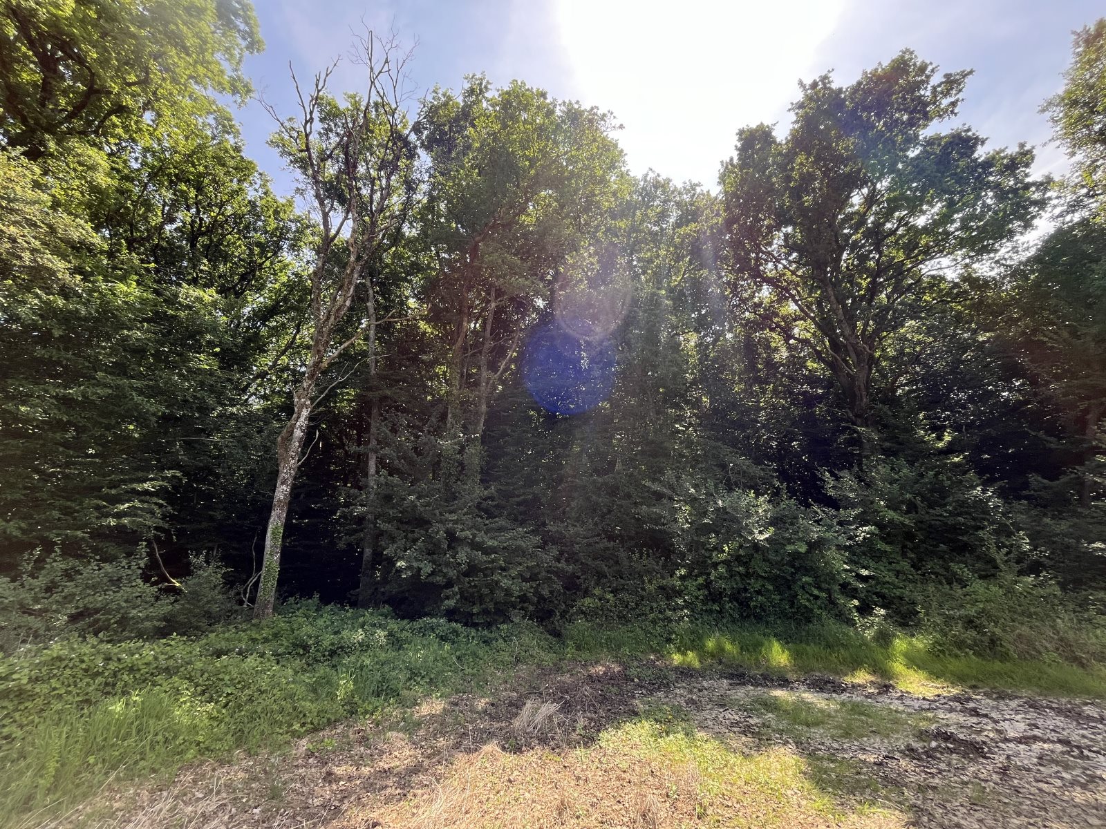 Maison à vendre, 8900m², Ségry
