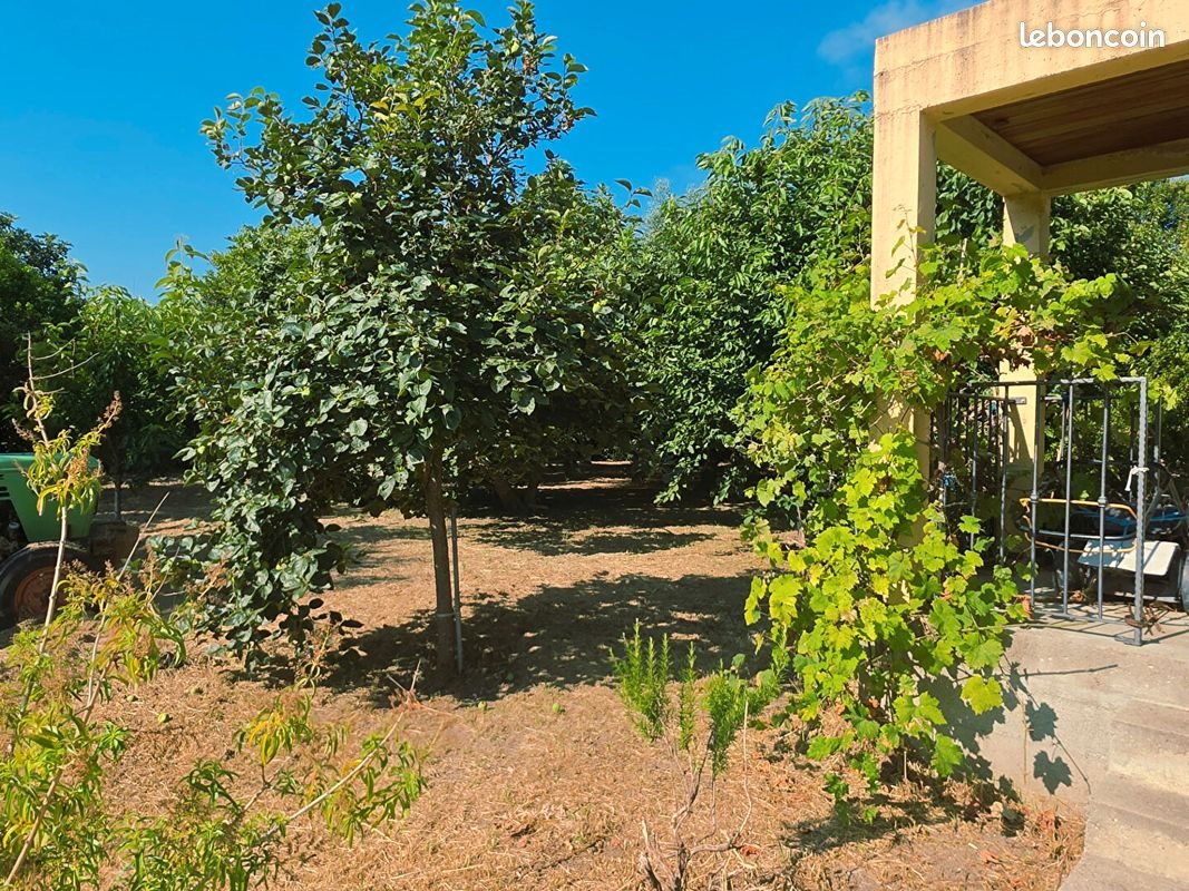 Maison à vendre, 217m², Furiani