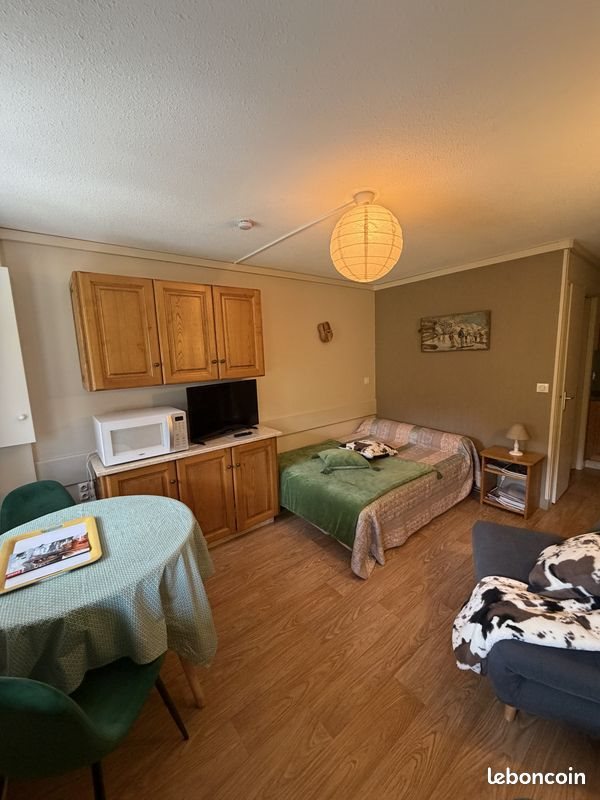Appartement à vendre, 19m², Laveissière