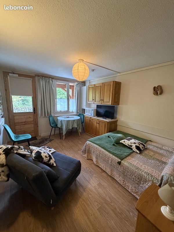 Appartement à vendre, 19m², Laveissière