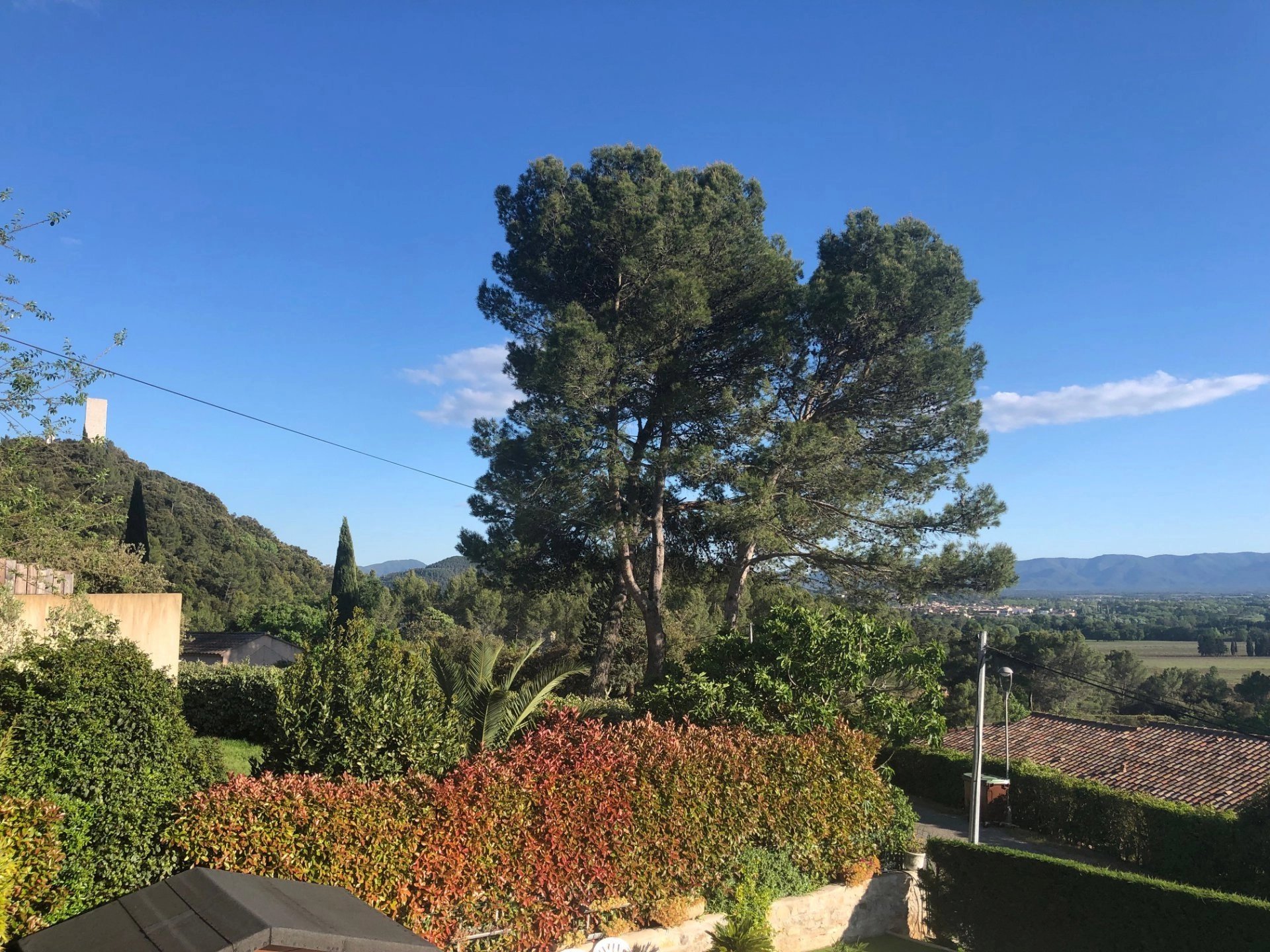 Taradeau (Var) photo 3