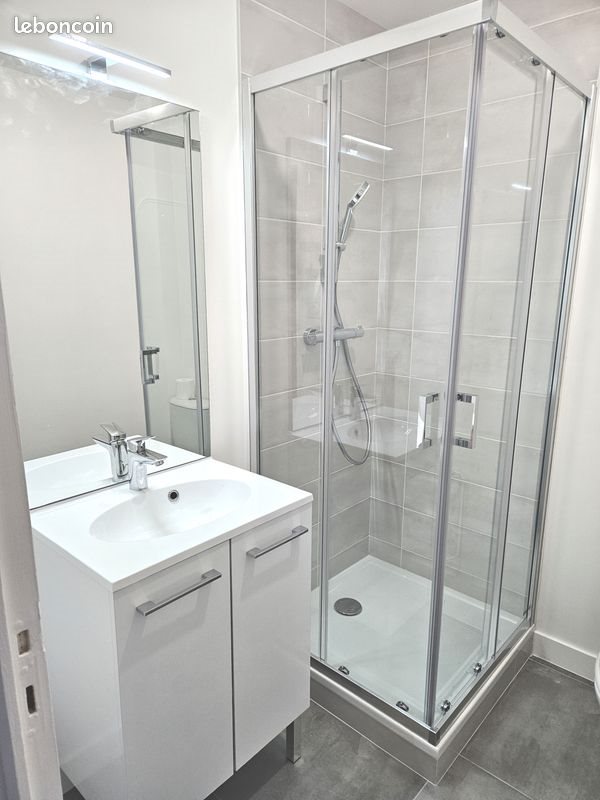 Appartement à louer, 42m², Feurs
