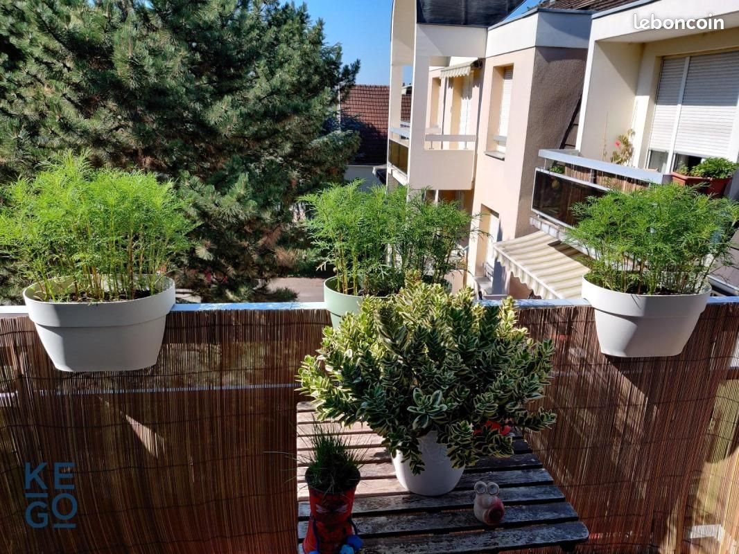 Appartement à louer, 80m², Bischheim
