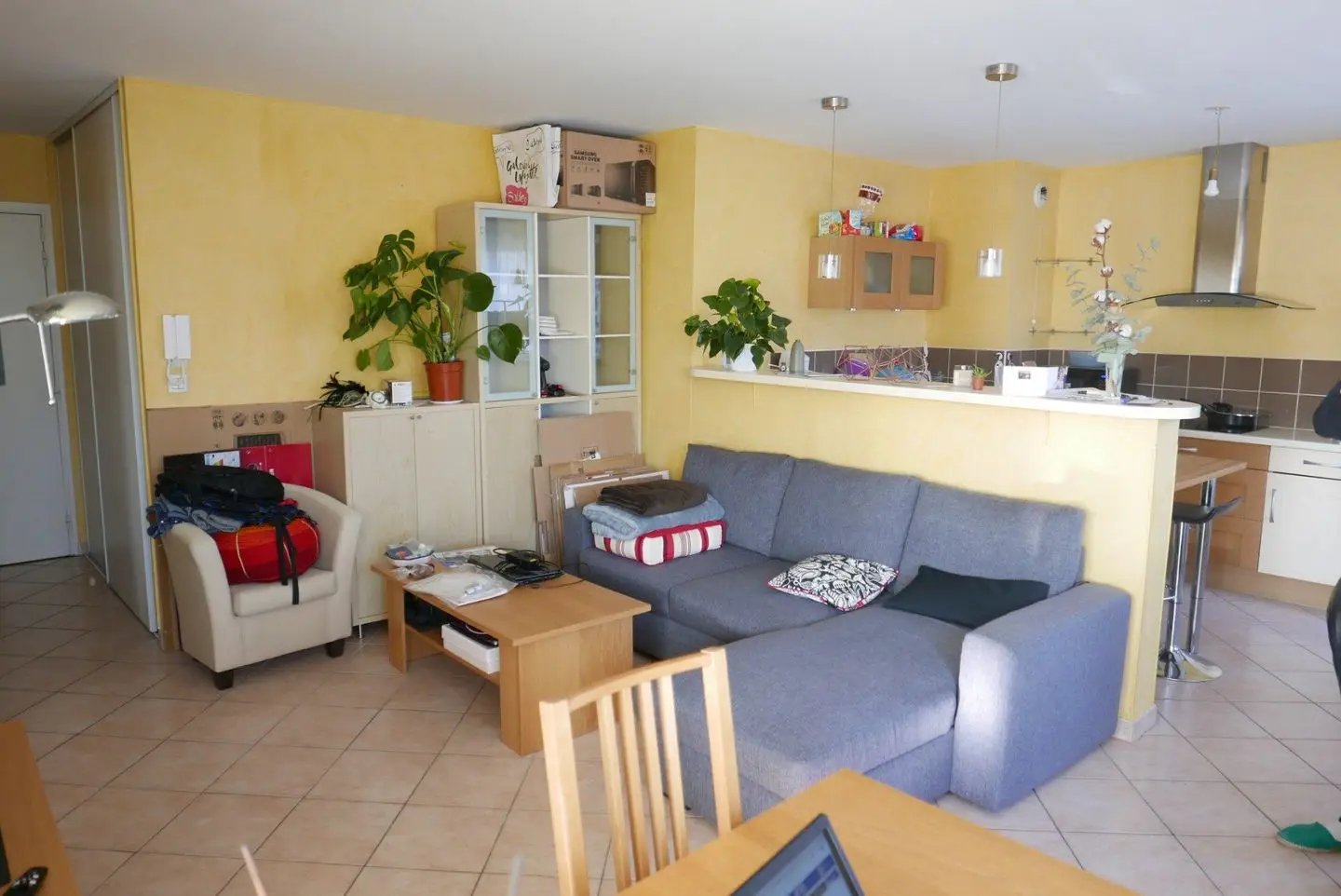 Appartement à louer, 51m², Tassin-la-Demi-Lune