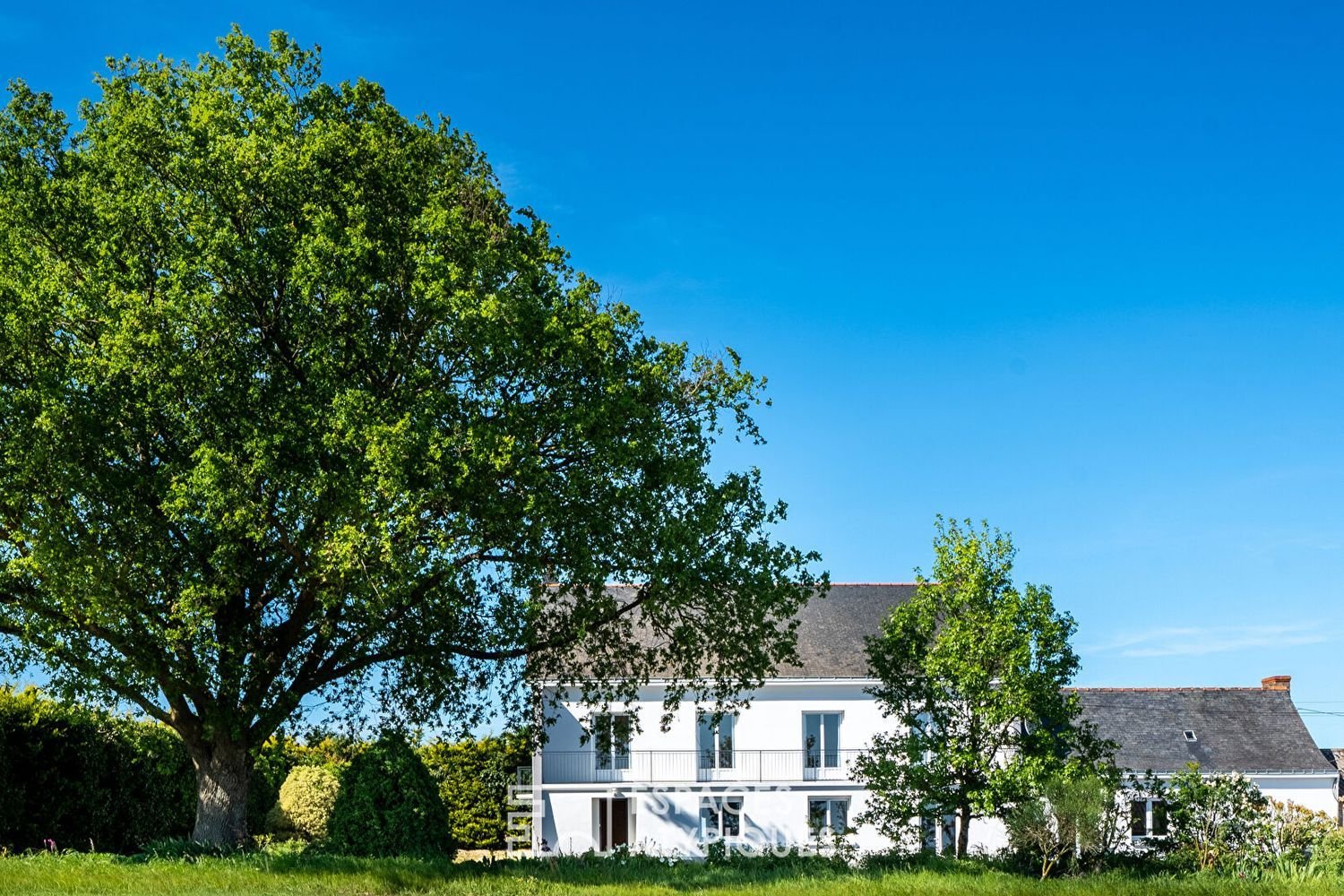 Maison à vendre, 229m², Mésanger