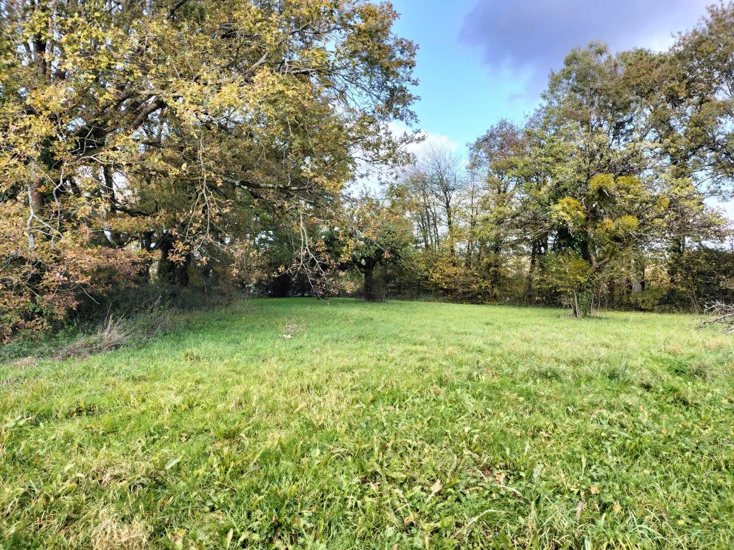 Maison à vendre, 149m², La Gravelle