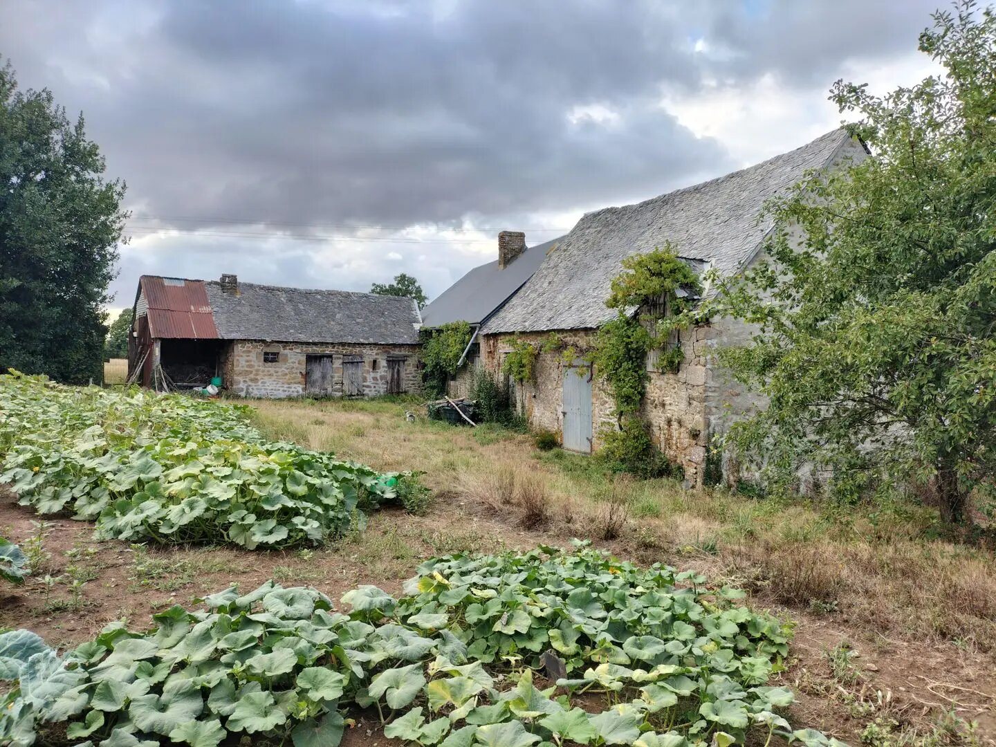 Maison à vendre, 60m², Trans