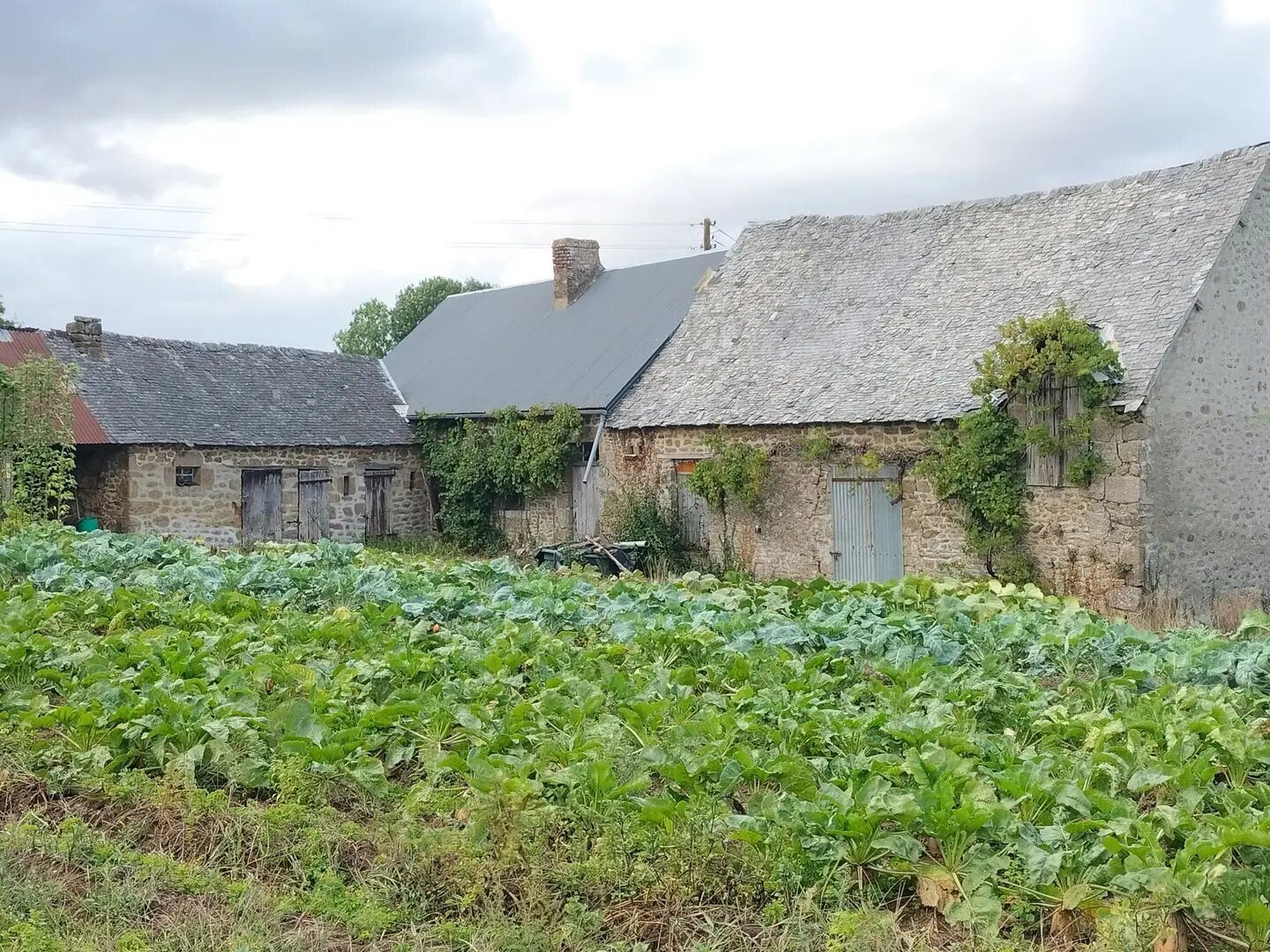 Maison à vendre, 60m², Trans