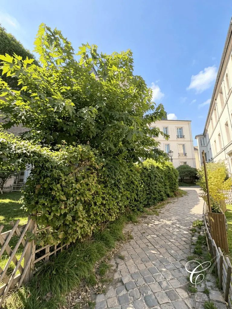 Appartement à vendre, 102m², Versailles