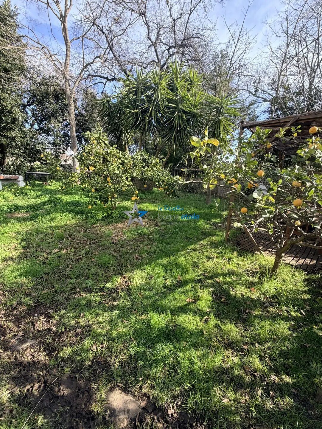 Maison à vendre, 217m², Santa-Lucia-di-Moriani