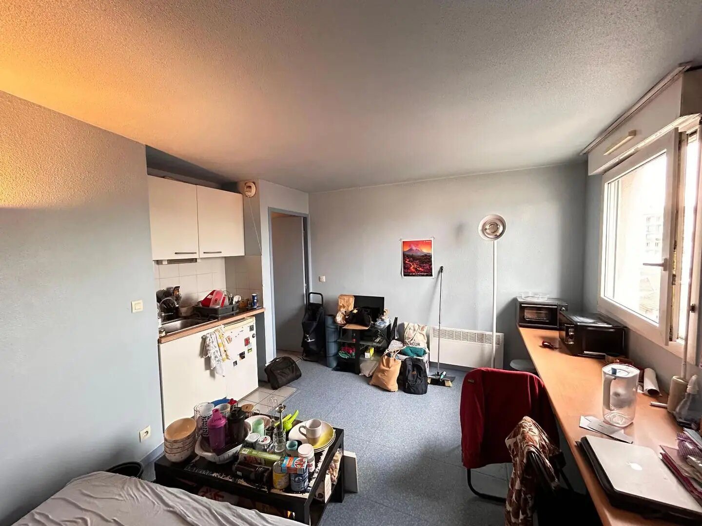 Appartement à vendre, 22m², Villeurbanne