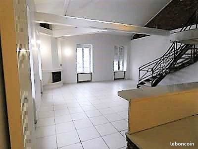 Appartement à louer, 179m², Saint-Etienne