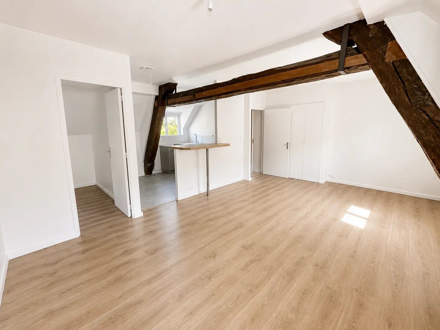 Appartement à louer, 45m², Châtillon