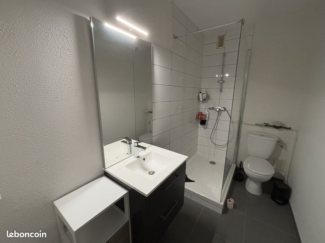 Appartement à louer, 30m², Seyssinet-Pariset