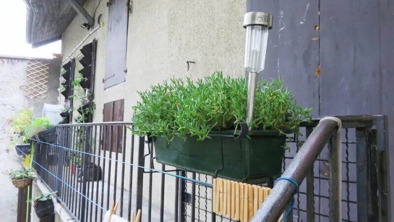 Appartement à louer, 26m², La Tronche