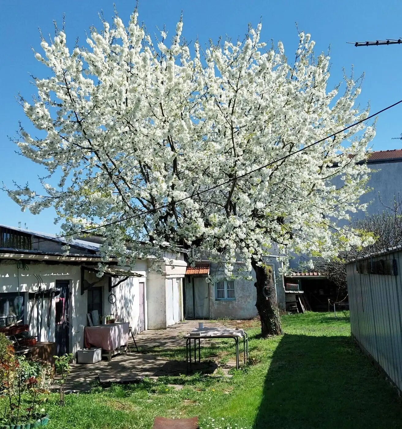 Maison à vendre, 80m², Villeneuve-le-Roi