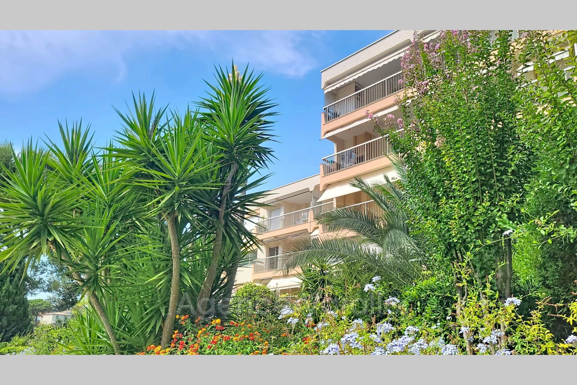 Maison à louer, 78m², Antibes