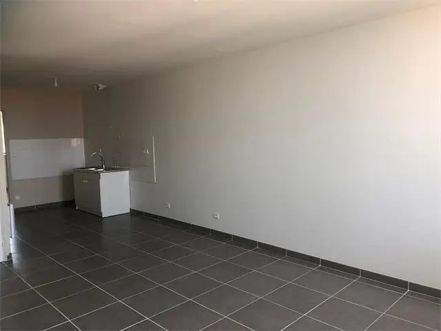 Appartement à louer, 43m², Saint-Romain-de-Popey