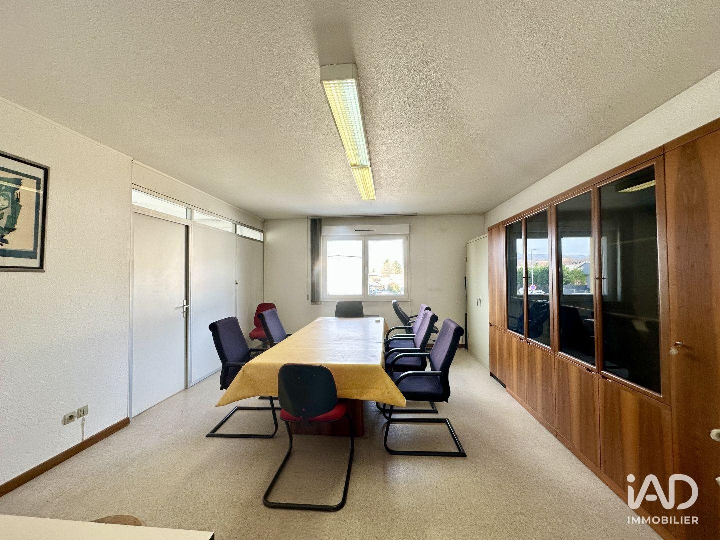 Appartement à vendre, 500m², Vieux-Thann