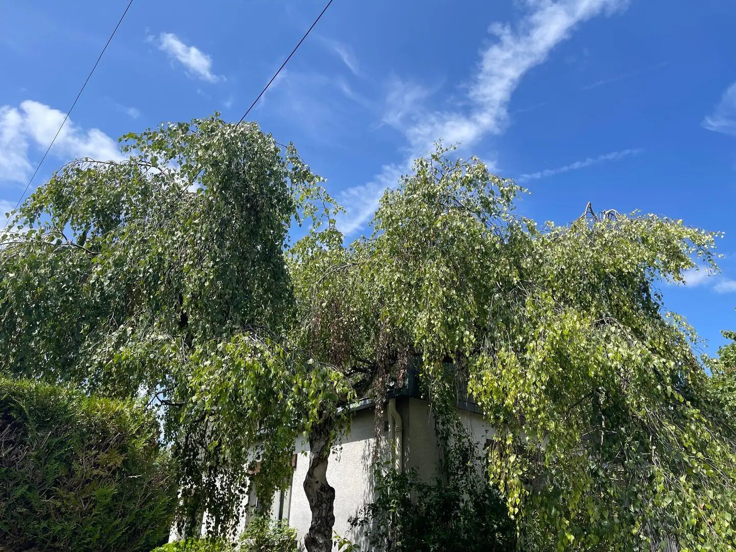 Maison à vendre, 160m², Houilles
