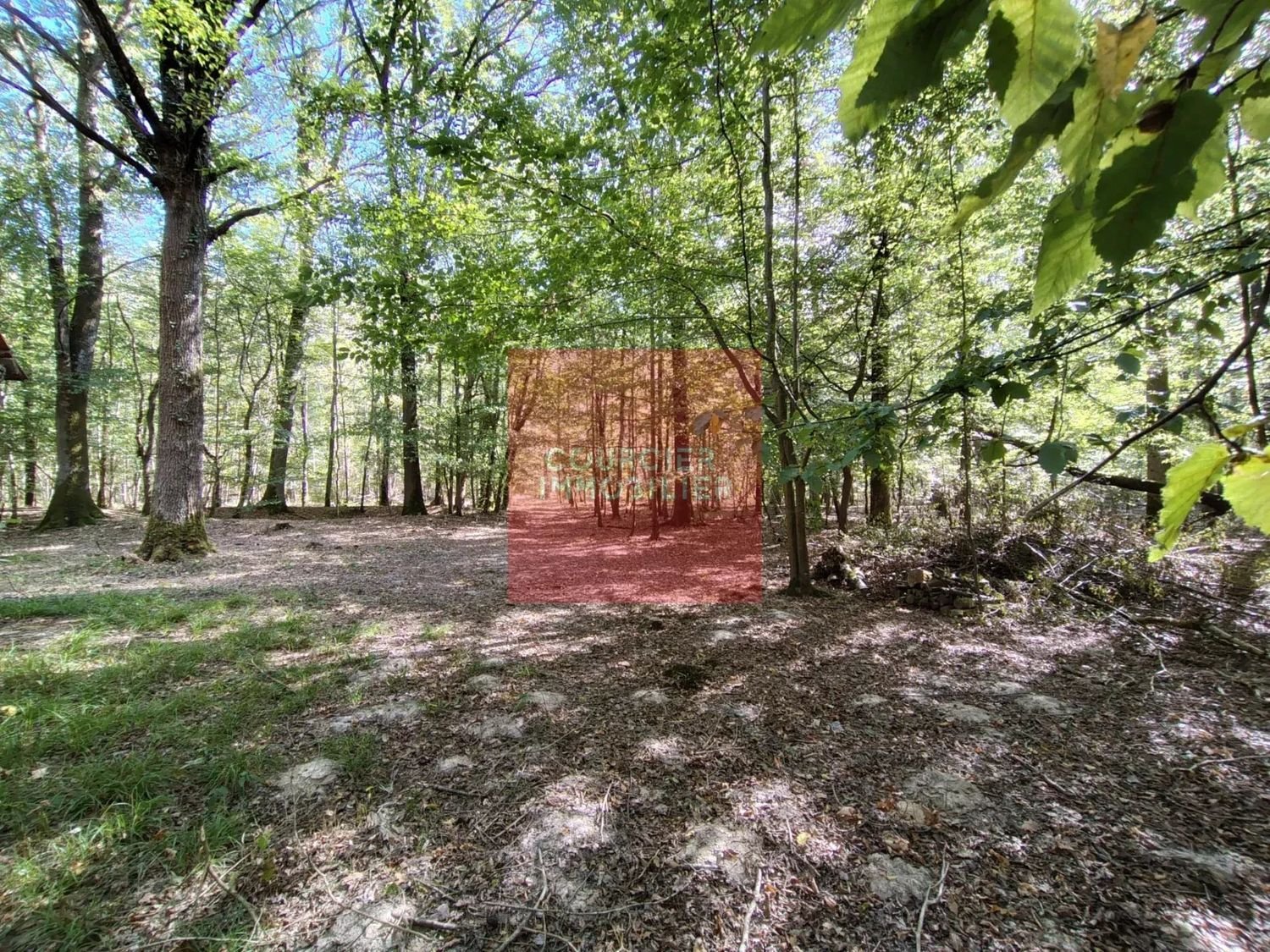 Maison à vendre, 35m², Les Bréviaires