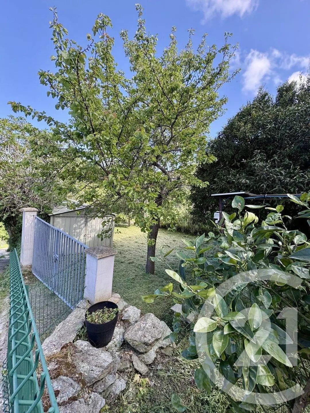 Appartement à vendre, 44m², Santo-Pietro-di-Tenda