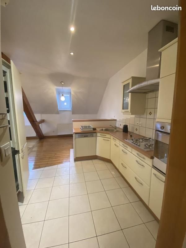 Appartement à louer, 109m², Erstein