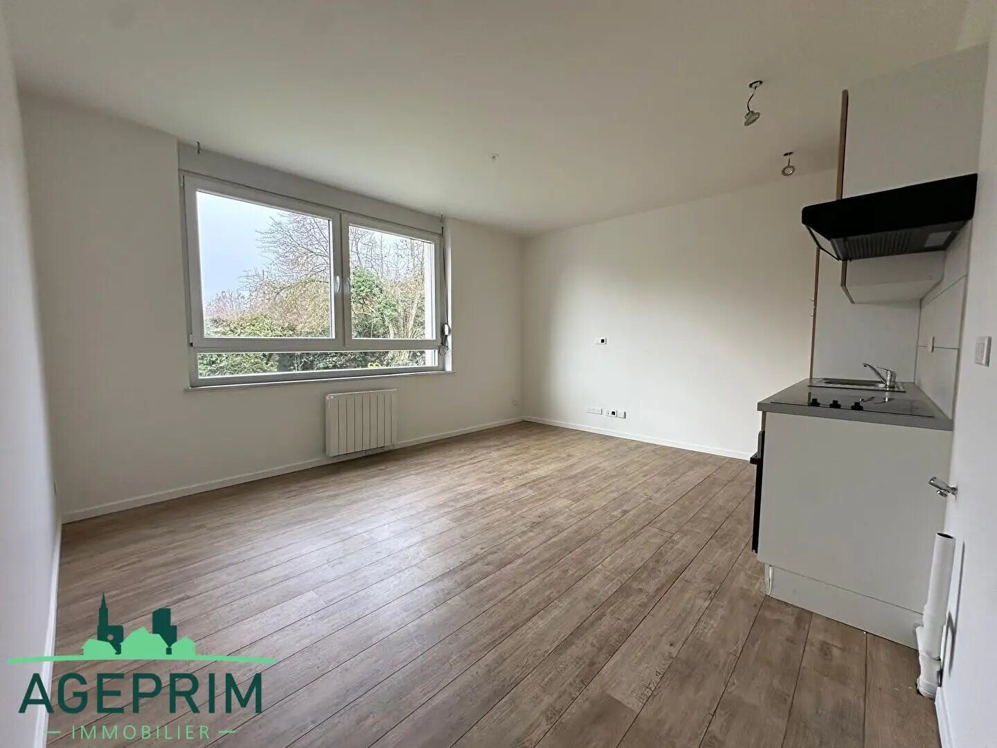 Appartement à vendre, 34m², Strasbourg