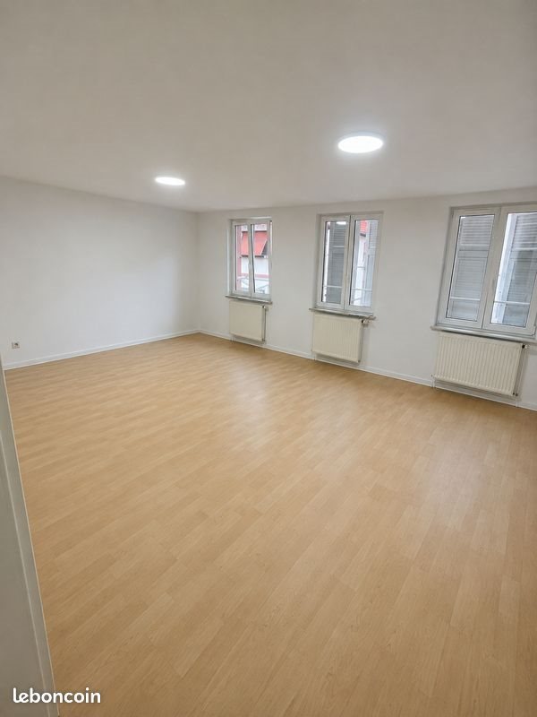 Appartement à louer, 78m², Reichshoffen