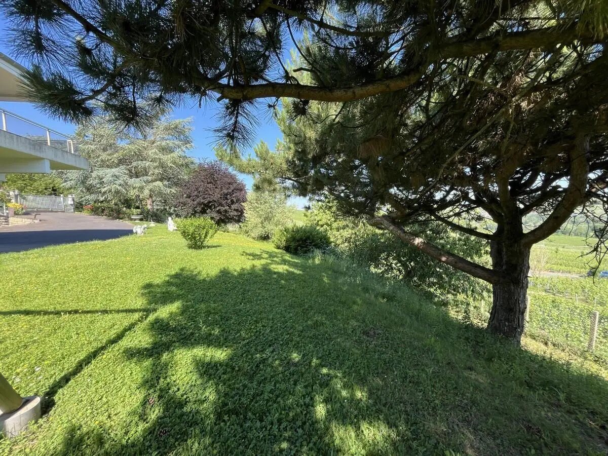 Maison à vendre, 295m², Oeuilly
