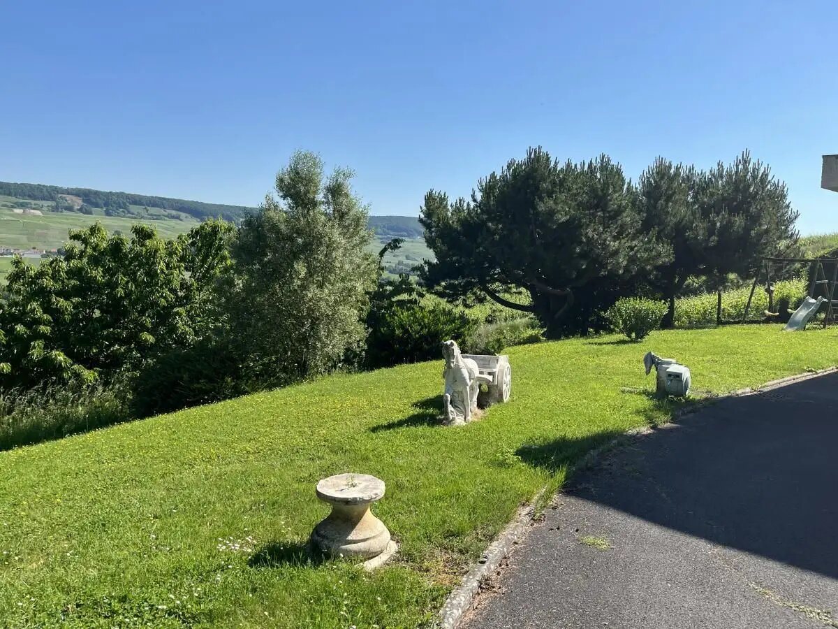 Maison à vendre, 295m², Oeuilly