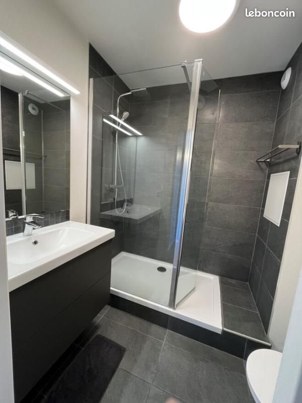 Appartement à louer, 38m², Lille