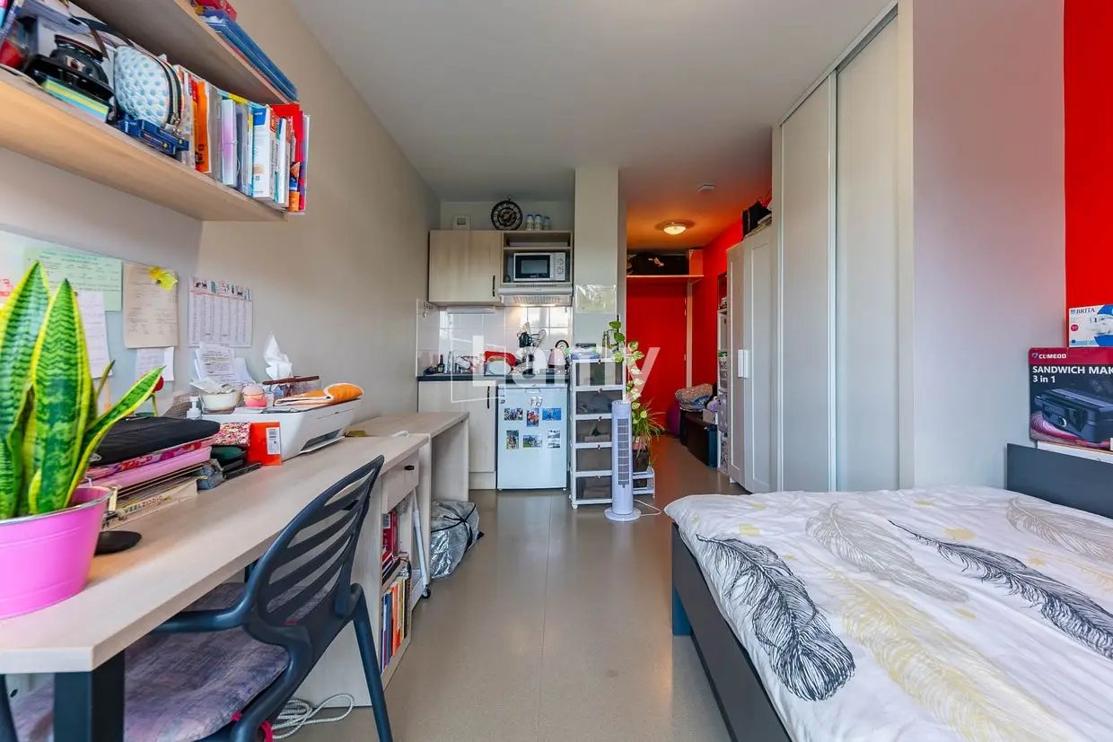 Appartement à vendre, 19m², Strasbourg