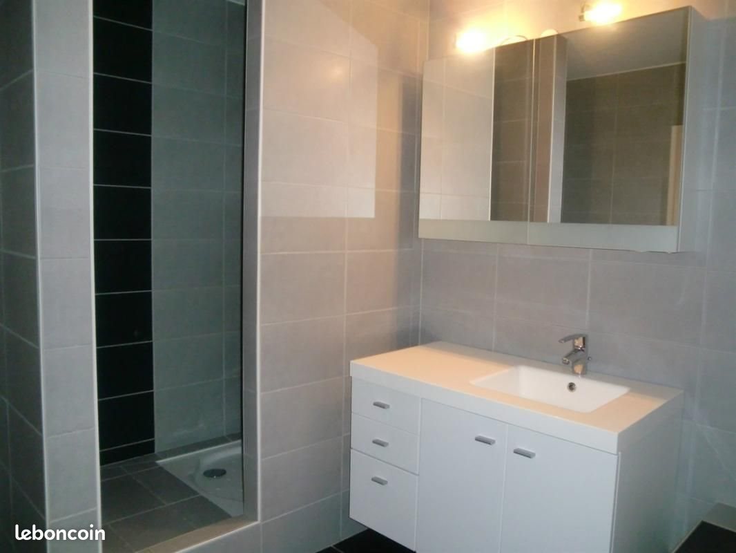 Appartement à louer, 104m², Lutterbach