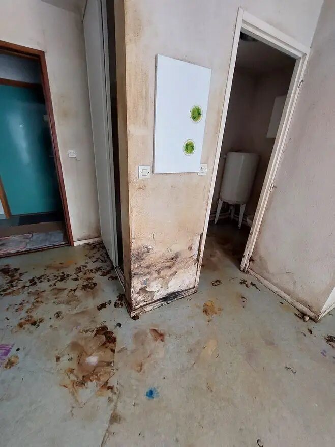 Appartement à vendre, 19m², Bussy-Saint-Georges
