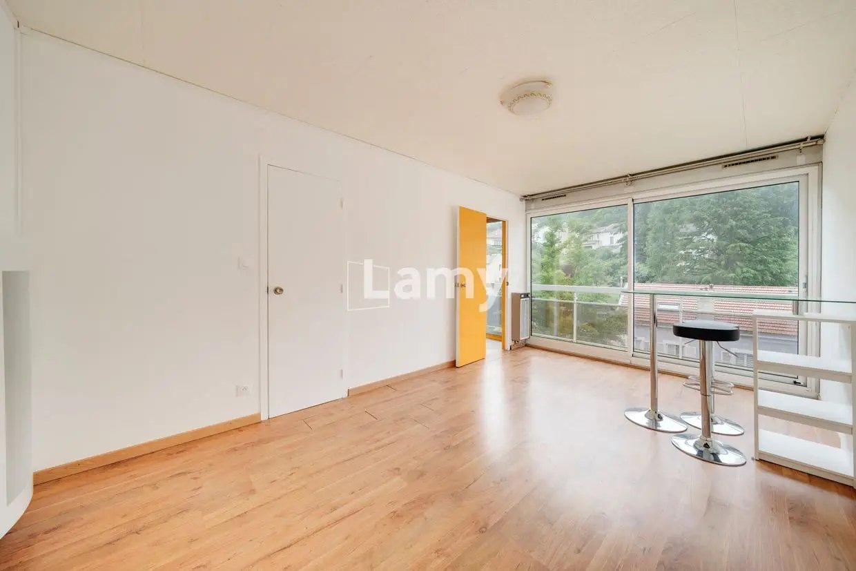 Appartement à vendre, 24m², Nancy