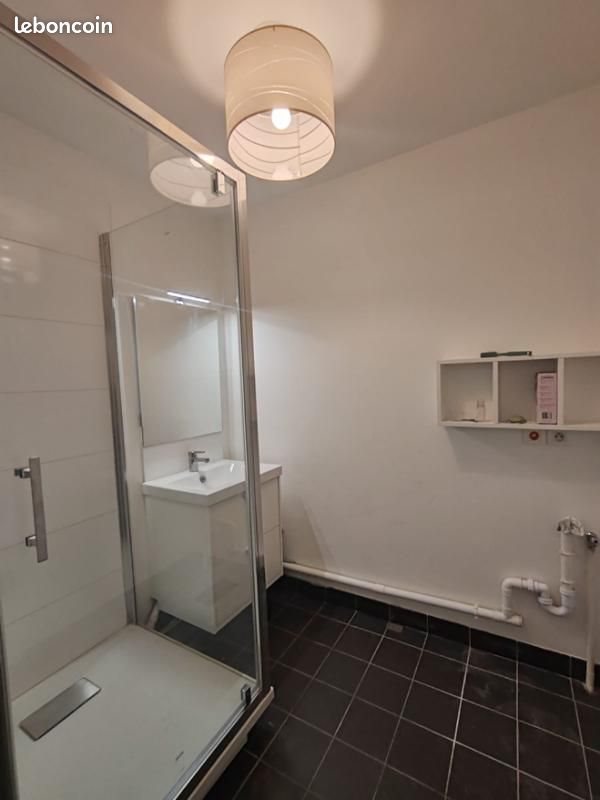 Appartement à louer, 46m², Lille