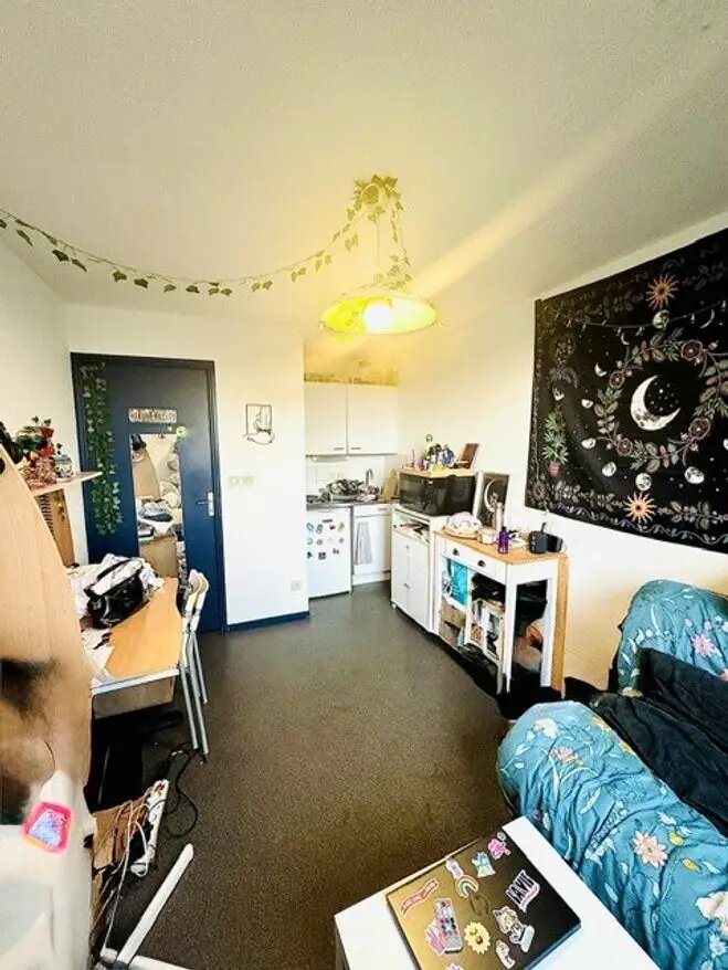 Appartement à vendre, 17m², Villeurbanne
