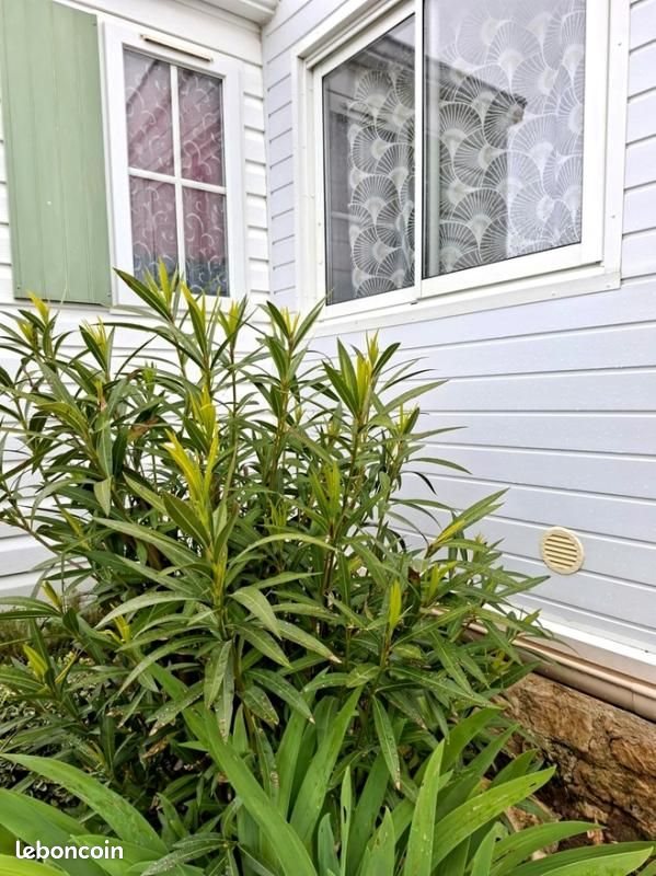 Maison à vendre, 30m², Marennes