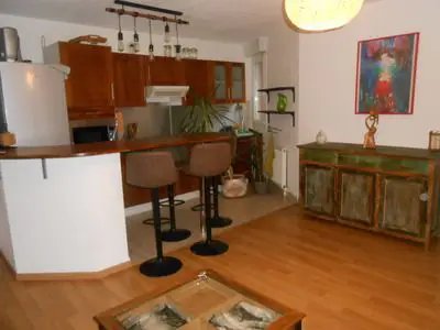 Appartement à louer, 60m², Colmar