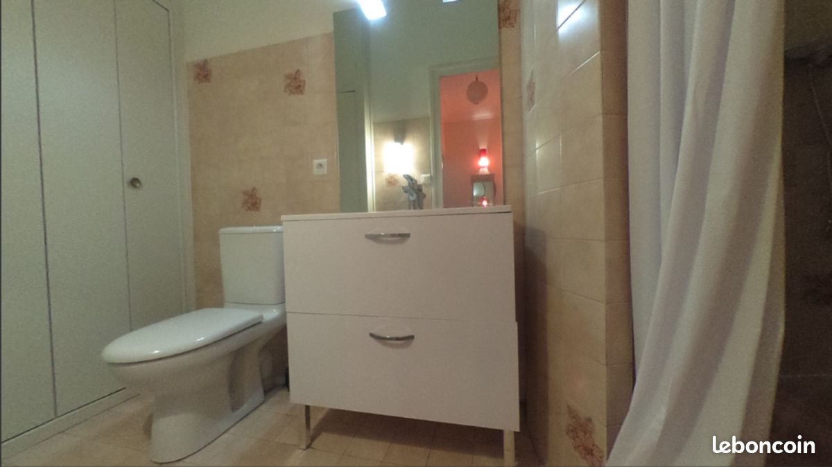 Appartement à louer, 38m², Grenoble