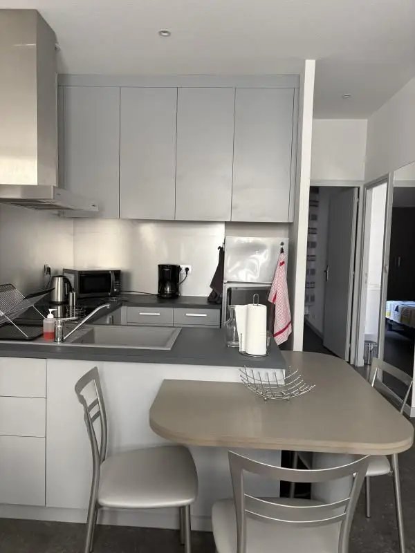 Appartement à louer, 45m², Vichy
