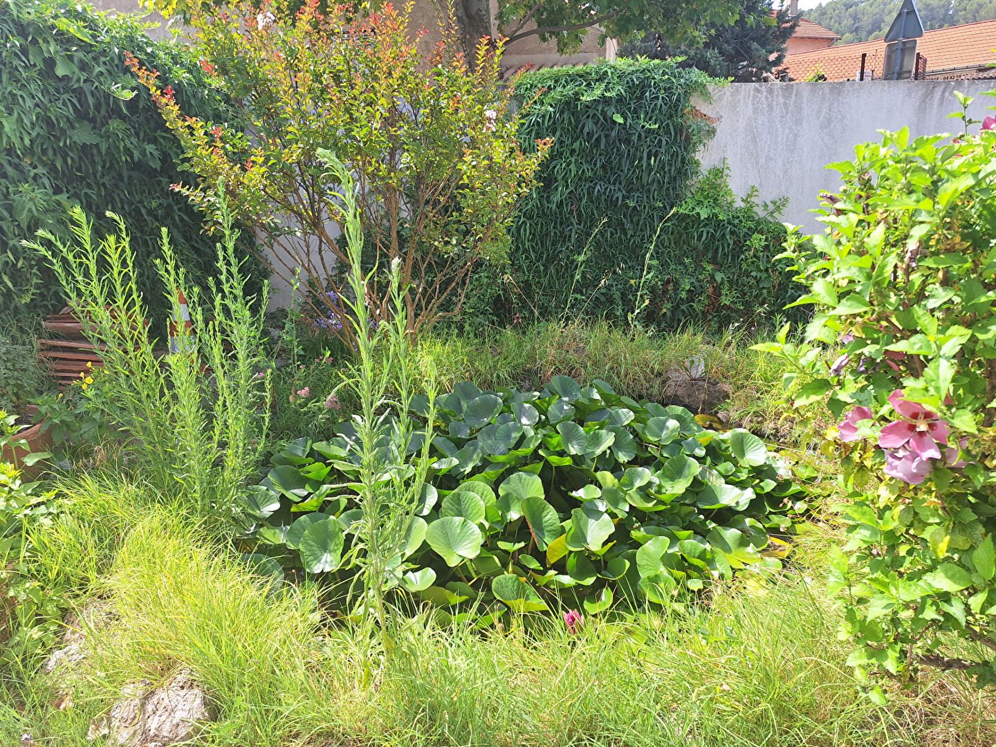 Maison à vendre, 95m², Gardanne